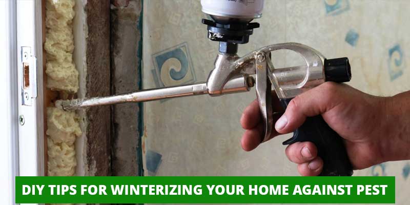 DIY Tips For Winterizing Your Nashville Home Against Pest Nashville, TN