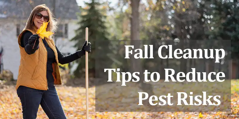 Fall Cleanup Tips to Reduce Pest Risks in Nashville Yards