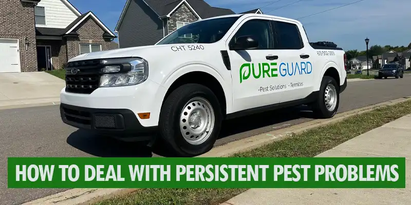 How to Deal With Persistent Pest Problems: Knowing When to Call an Expert Nashville, TN