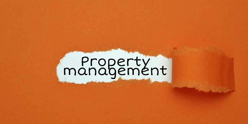 Why is Regular Pest Control Maintenance Critical For Property Managers? Nashville, TN