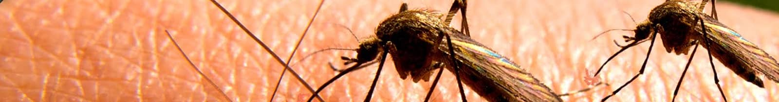 Mosquito exterminator pest control Nashville, TN