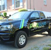 pest-control-solutions-Brentwood-tennesee